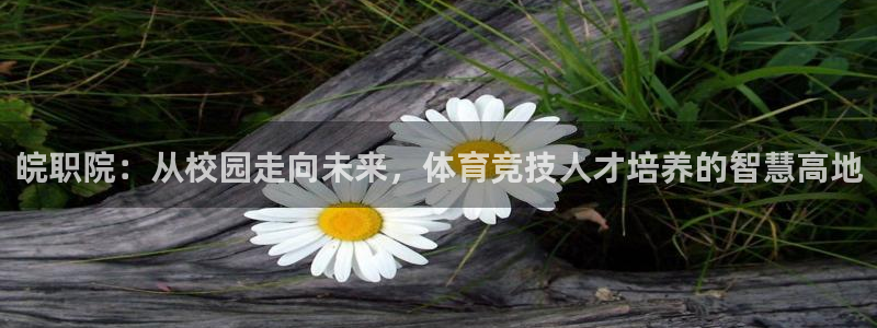 k1体育平台3915：皖职院：从校园走向未来，体育竞技人才培养的智慧高地