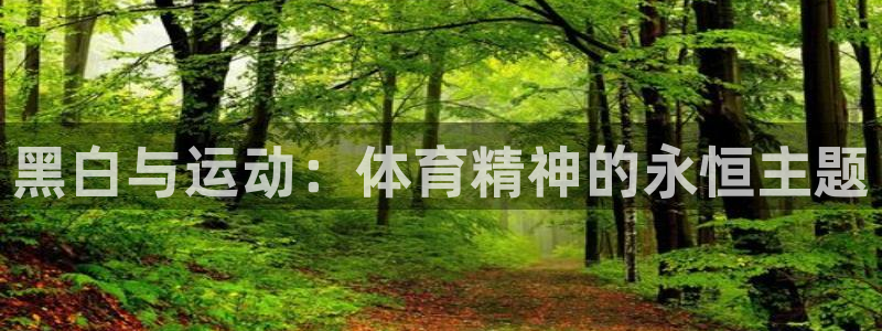 k1体育十年品牌值得信赖：黑白与运动：体育精神的永恒主题