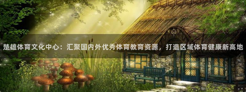 k1体育链接：楚雄体育文化中心：汇聚国内外优秀体育教育资源，打造区域体育健康新高地