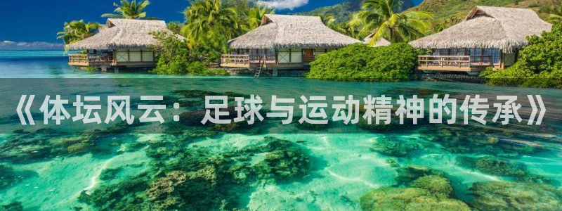 帮k1体育在线登录：《体坛风云：足球与运动精神的传承》