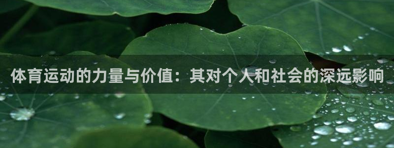 k1体育十年品牌官网